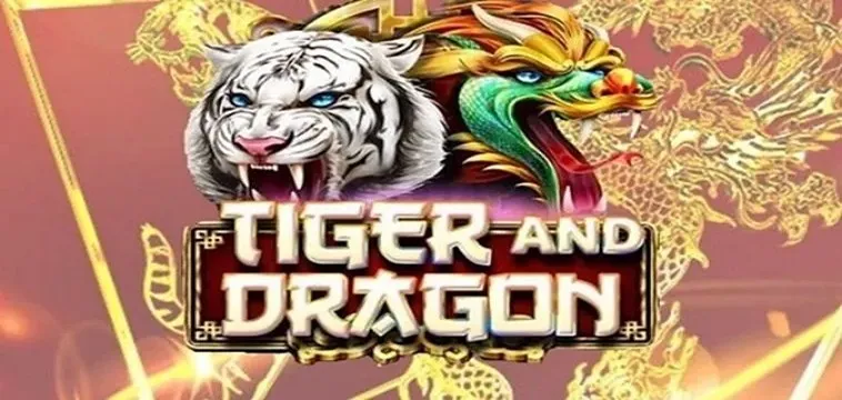 Cách Tham Gia Dragon Tiger Tại Nhà Cái Asia99 Thú Vị